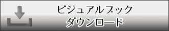 ピラミッドアートビジュアルブック